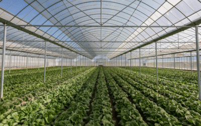 Natural Fare | Nature Treats, Pure Delight