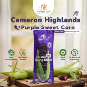 NF Cameron Purple Sweet Corn 1pcs