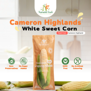 NF Cameron White Sweet Corn 1pcs